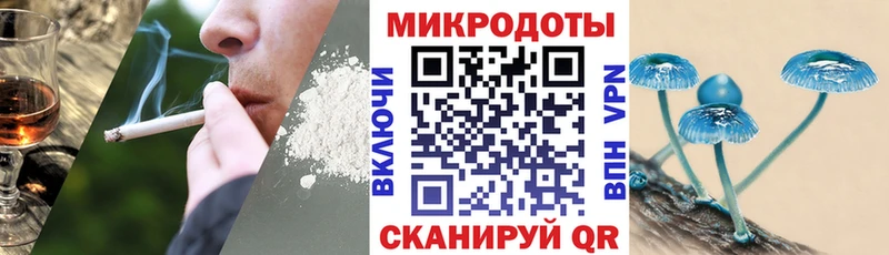 купить наркотики цена Сортавала Галлюциногенные грибы мицелий